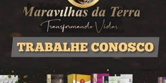 Imagem do grupo de WhatsApp Seja um Consultor(a) MDT🍀