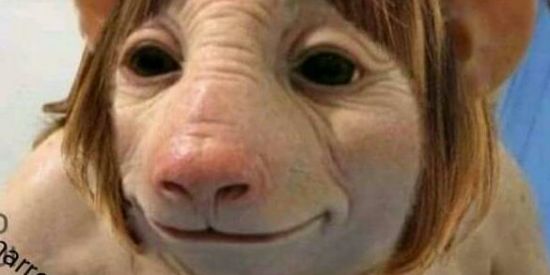 Imagem do grupo de WhatsApp Só doidos 🥴🤦🏻‍♀️