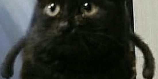 Imagem do grupo de WhatsApp GP - Shitpost