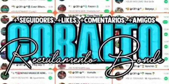 Imagem do grupo de WhatsApp Recrutamento✅