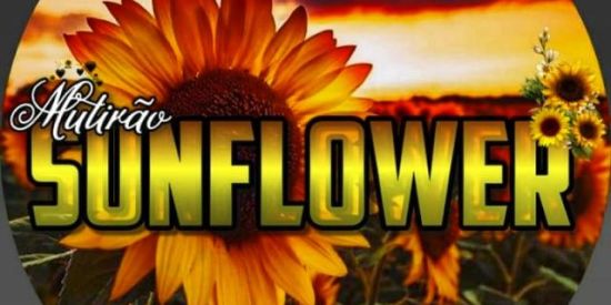 Imagem do grupo de WhatsApp RECRUTAMENTO BONDE TIS🔥❤️