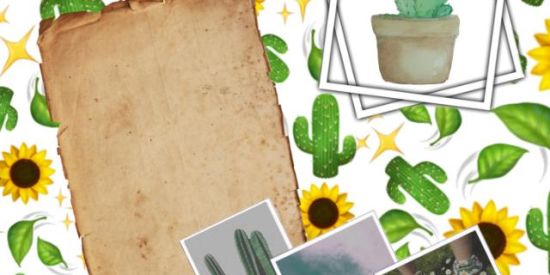 Imagem do grupo de WhatsApp So os gado