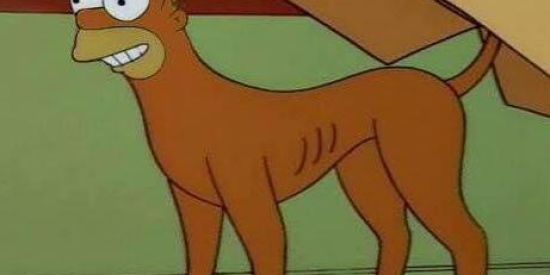 Imagem do grupo de WhatsApp ՏᎻᏆͲᏴΘՏͲ