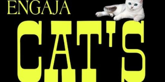 Imagem do grupo de WhatsApp 🐱ENGAJA CAT'S🐱