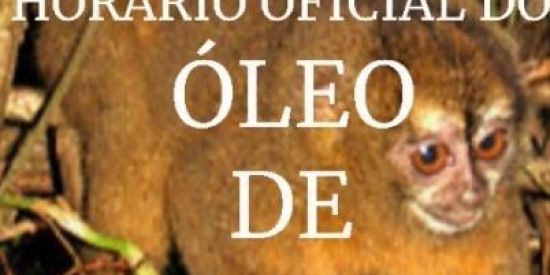 Imagem do grupo de WhatsApp postar óleo de macaco