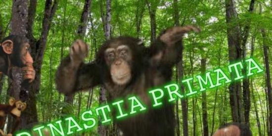 Imagem do grupo de WhatsApp DINASTIA PRIMATA