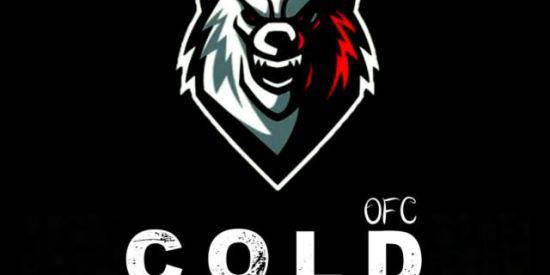 Imagem do grupo de WhatsApp COLD  RECRUTAMENTO