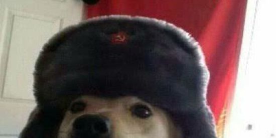 Imagem do grupo de WhatsApp União Xitpost 🇦🇴