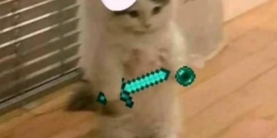 Imagem do grupo de WhatsApp ㄥⳚᙟᅠԺɘsᅠ AMIGUINHOS