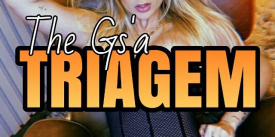 Imagem do grupo de WhatsApp 🍁TRIAGEM GS'A🍁