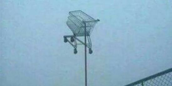 Imagem do grupo de WhatsApp Shit Poter