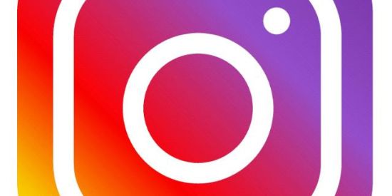 Imagem do grupo de WhatsApp Instagram