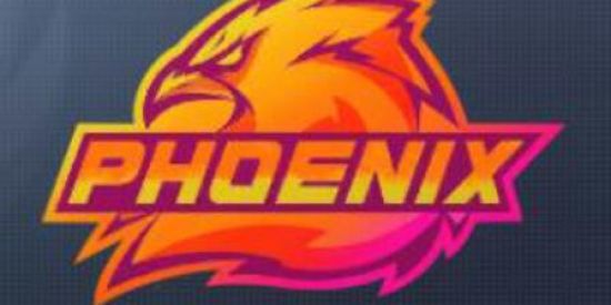 Imagem do grupo de WhatsApp PHOENIX