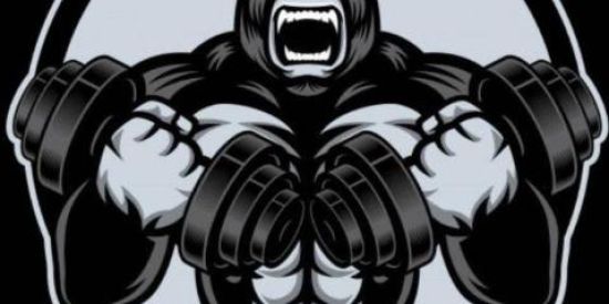 Imagem do grupo de WhatsApp Conversa sobre calistenia