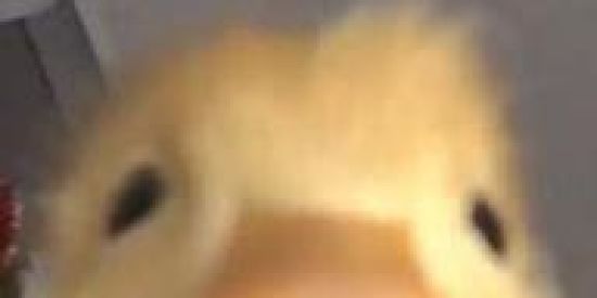 Imagem do grupo de WhatsApp 🔥 ғɪɢᴜʀɪɴʜᴀs 🔥