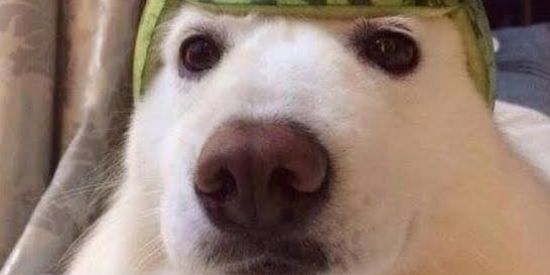 Imagem do grupo de WhatsApp Menózada louca🤡🤡🤡🤡🤡👌👌