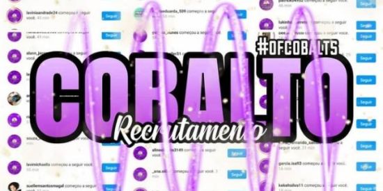 Imagem do grupo de WhatsApp 🦋 Recrutamento Cobalto 🦋