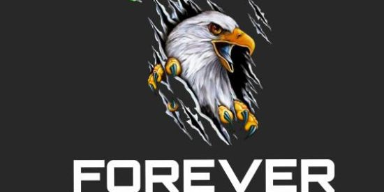 Imagem do grupo de WhatsApp FOR€VER