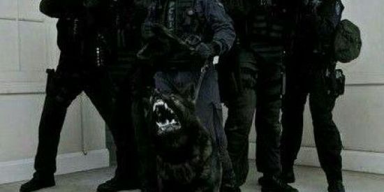 Imagem do grupo de WhatsApp Mundo Militar 🇧🇷