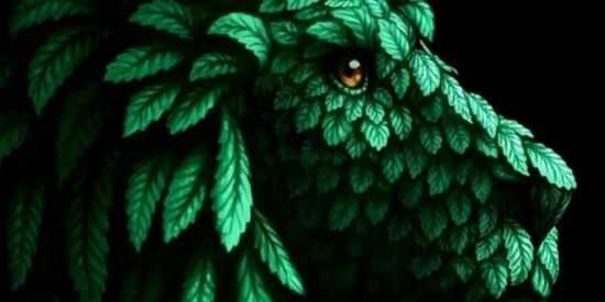 Imagem do grupo de WhatsApp 04:20🍁☄️