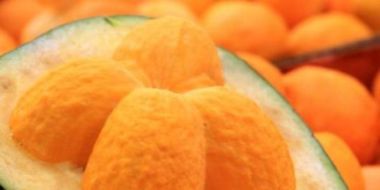 Imagem do grupo de WhatsApp Morei na roca ❤️