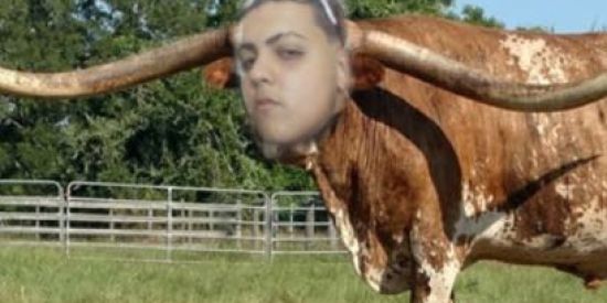 Imagem do grupo de WhatsApp SP x RJ x NORDESTE