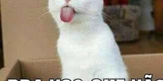 Imagem do grupo de WhatsApp 🥰😋Humor ♥️ alegria 🥰😋