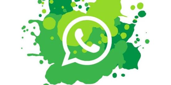 Imagem do grupo de WhatsApp Contatinho🔥🏳️‍🌈