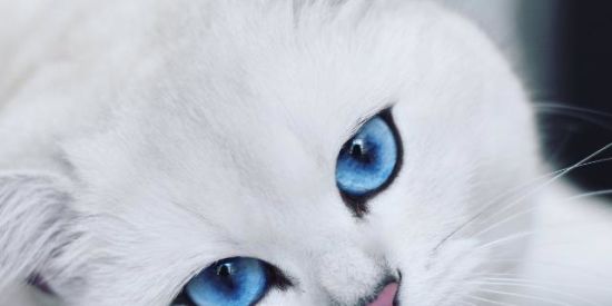 Imagem do grupo de WhatsApp Amizade sem fim (♡ω♡ )