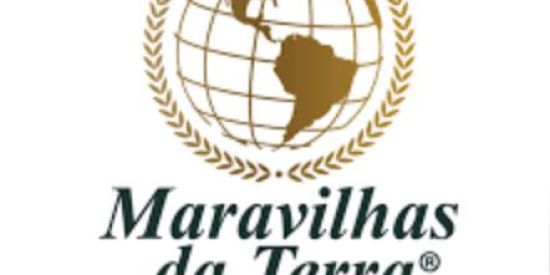 Imagem do grupo de WhatsApp Equipe MDT Brasil/Europa