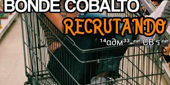 Imagem do grupo de WhatsApp Virando colbaltinho🦊❤️