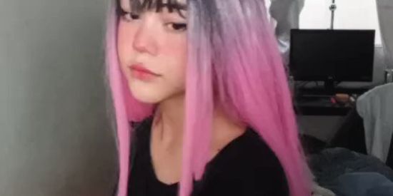 Imagem do grupo de WhatsApp Shitpost Community