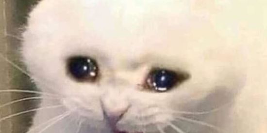 Imagem do grupo de WhatsApp AMIGUINHOOS DMVD😍🥰♥️🤢