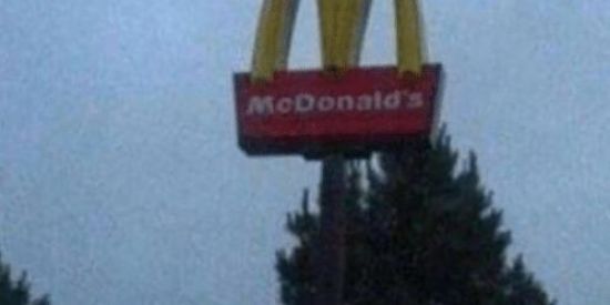 Imagem do grupo de WhatsApp SHIT OF WAR🙈🐒