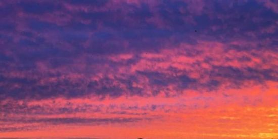 Imagem do grupo de WhatsApp ⚡🍩ஓீ͜͜͡₡҈R҈U҈S҈H҈L҈A҈N҈D҈I҈A҈  2🍩⚡