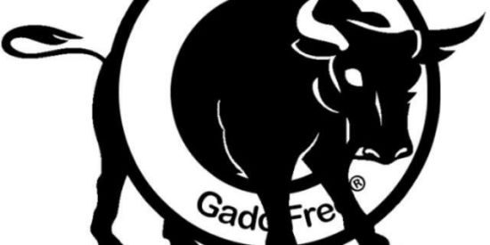 Imagem do grupo de WhatsApp Gado Free®