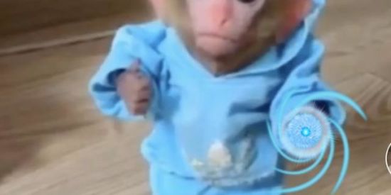 Imagem do grupo de WhatsApp Favela de Konoha