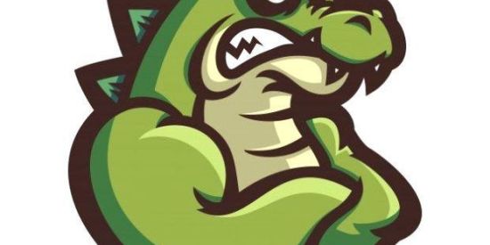 Imagem do grupo de WhatsApp 🇱 🇦 🇨 🇴 🇸 🇹 🇪