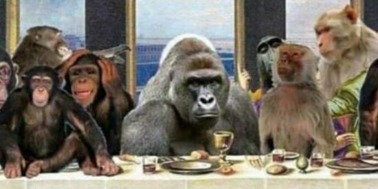 Imagem do grupo de WhatsApp Primatas ᏕhitpOst|🙈🙉🙊