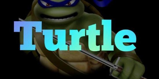 Imagem do grupo de WhatsApp Projeto Turtle 🐢