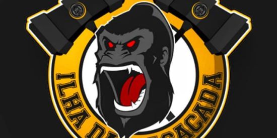 Imagem do grupo de WhatsApp 🦍ILHA DA MACACADA🦍