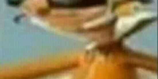 Imagem do grupo de WhatsApp Me segue la no instagram😎