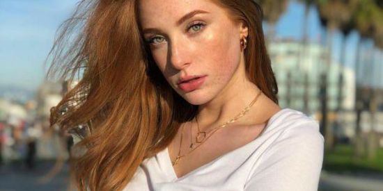 Imagem do grupo de WhatsApp 01🥀 Projeto wennex📌