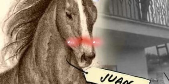 Imagem do grupo de WhatsApp CAVALOS ANÔNIMOS