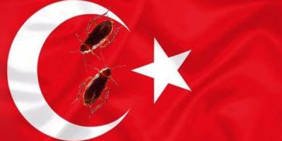 Imagem do grupo de WhatsApp 🇹🇷SHITPOST DA TURCA🇹🇷