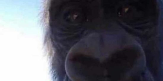 Imagem do grupo de WhatsApp so os gostoso🔥FELIZ NATAL