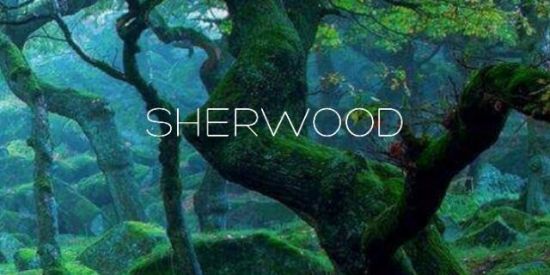 Imagem do grupo de WhatsApp Sherwood - J. Martins