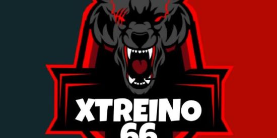 Imagem do grupo de WhatsApp XTREINO  DA 66
