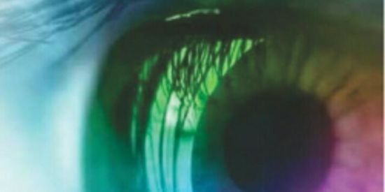 Imagem do grupo de WhatsApp DESIGNER DOS DESIGNER.ORG