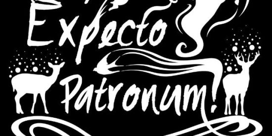 Imagem do grupo de WhatsApp expecto patronum